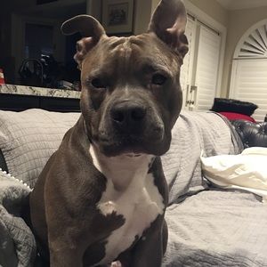 Meet your Posher, Nancy